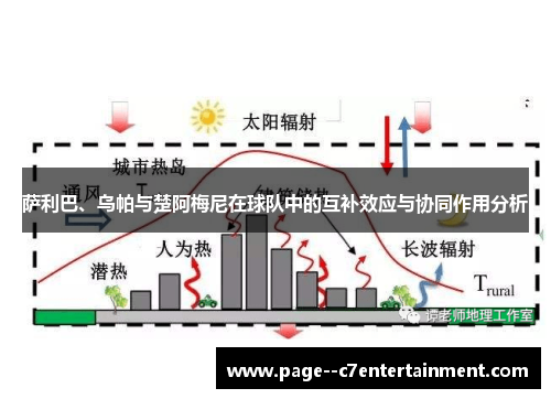 萨利巴、乌帕与楚阿梅尼在球队中的互补效应与协同作用分析