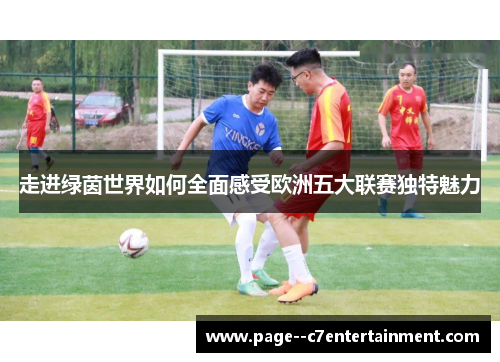 走进绿茵世界如何全面感受欧洲五大联赛独特魅力