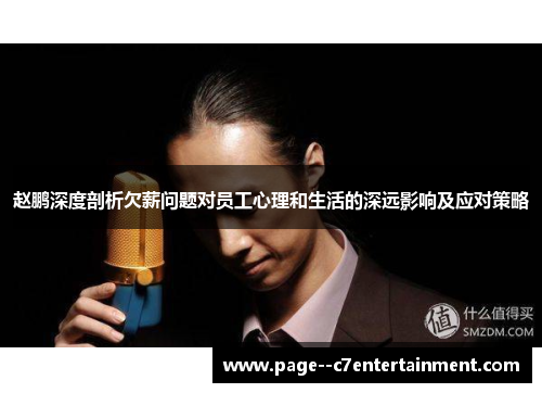 赵鹏深度剖析欠薪问题对员工心理和生活的深远影响及应对策略