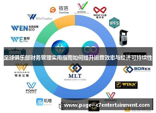 足球俱乐部财务管理实用指南如何提升运营效率与经济可持续性