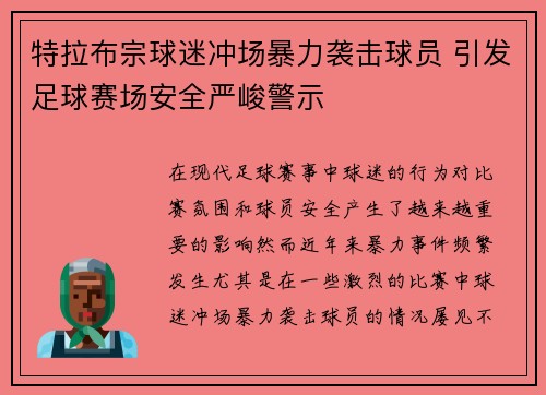特拉布宗球迷冲场暴力袭击球员 引发足球赛场安全严峻警示 特拉布宗球迷冲场暴力袭击球员 引发足球赛场安全严峻警示