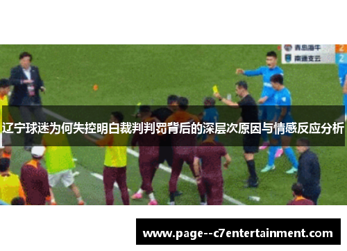 辽宁球迷为何失控明白裁判判罚背后的深层次原因与情感反应分析