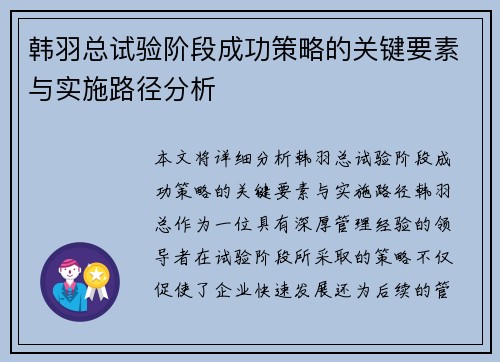 韩羽总试验阶段成功策略的关键要素与实施路径分析